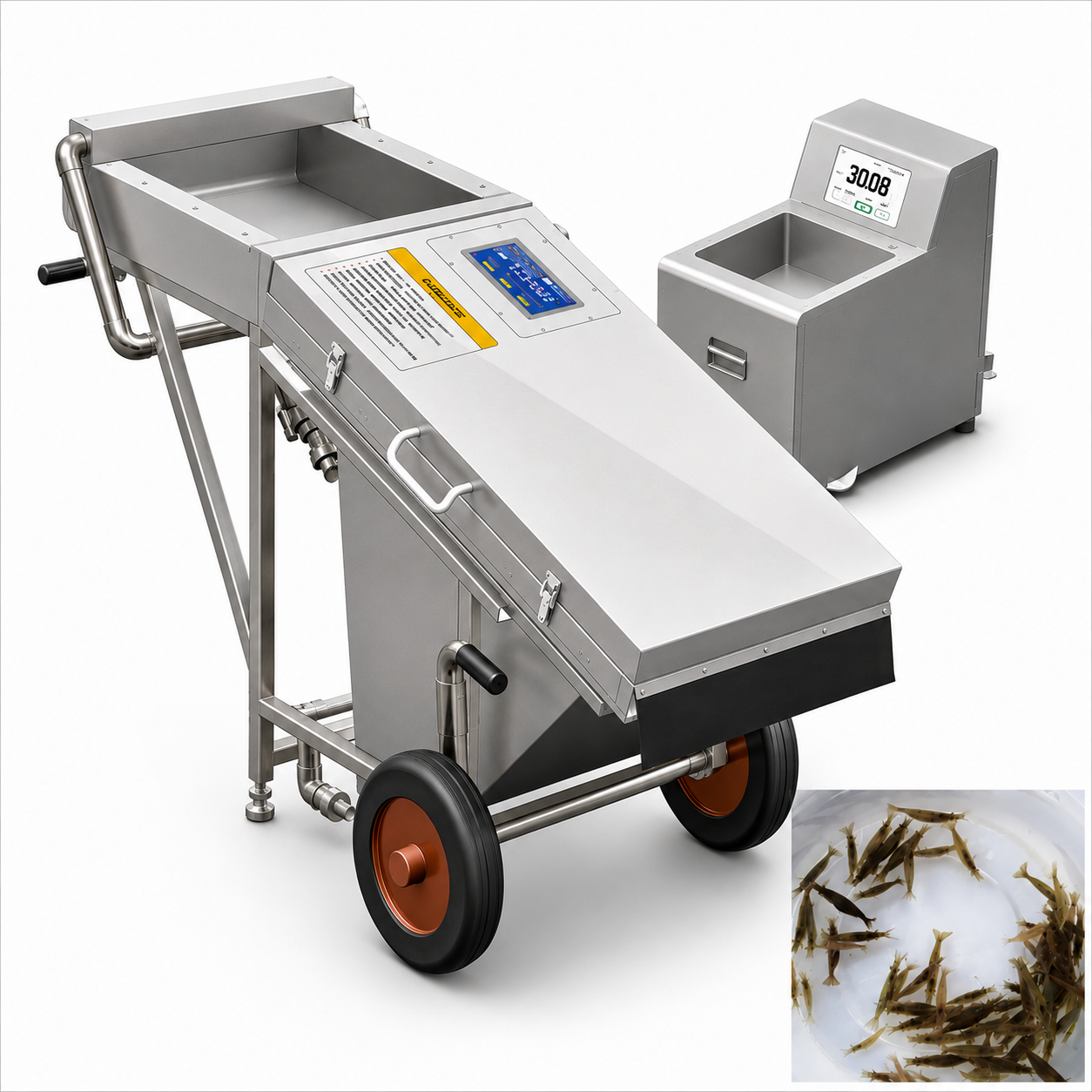 High-tech fish counting system in an aquaculture facility