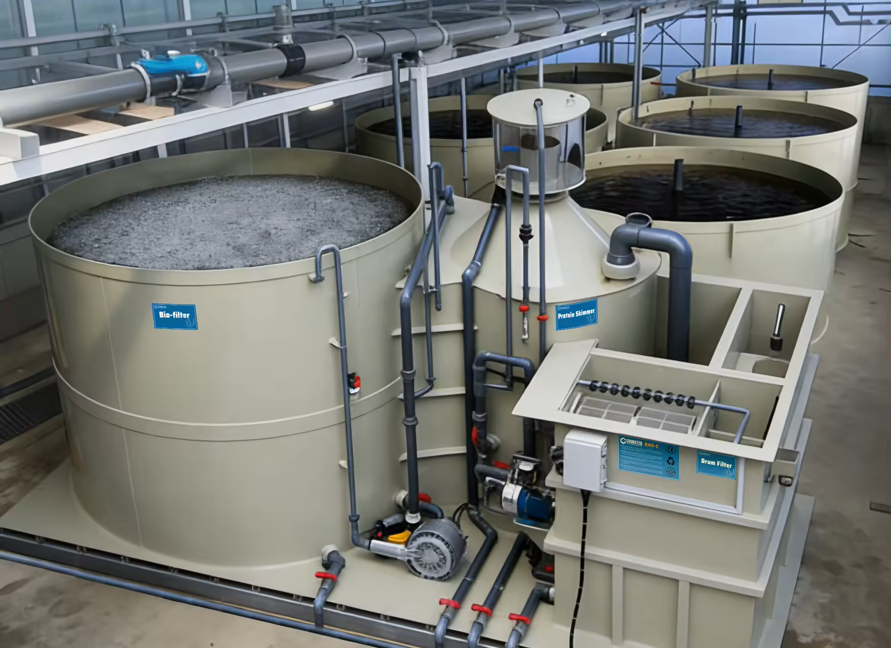Recirculating Aquaculture Systems (RAS) engineering system