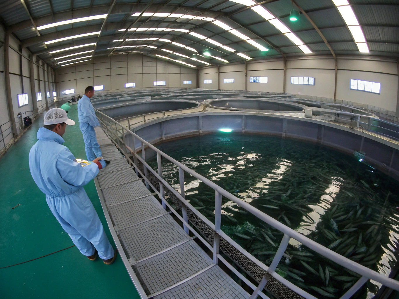 Hatchery operations and water management systems